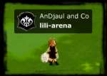 lili-arena