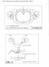 Pharmacones Exam_j23