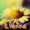 Evanna