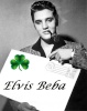 Elvis Beba