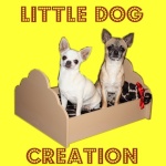 Little Dog Creation