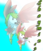 Shaymin_13