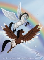 Pegasus et Roxy