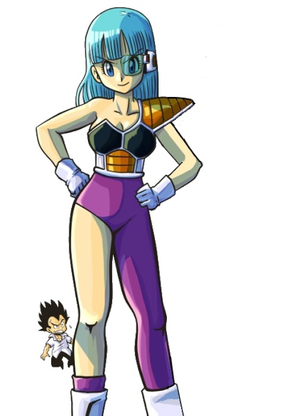 bra  s new saiyan armour by missbleach