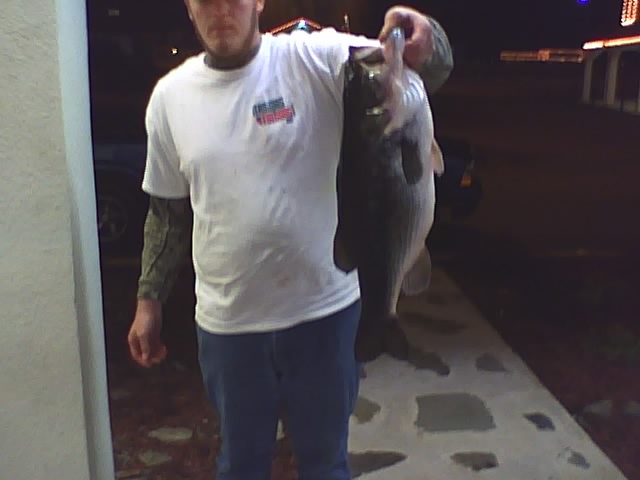 9lb 6oz