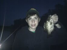 Rock bass