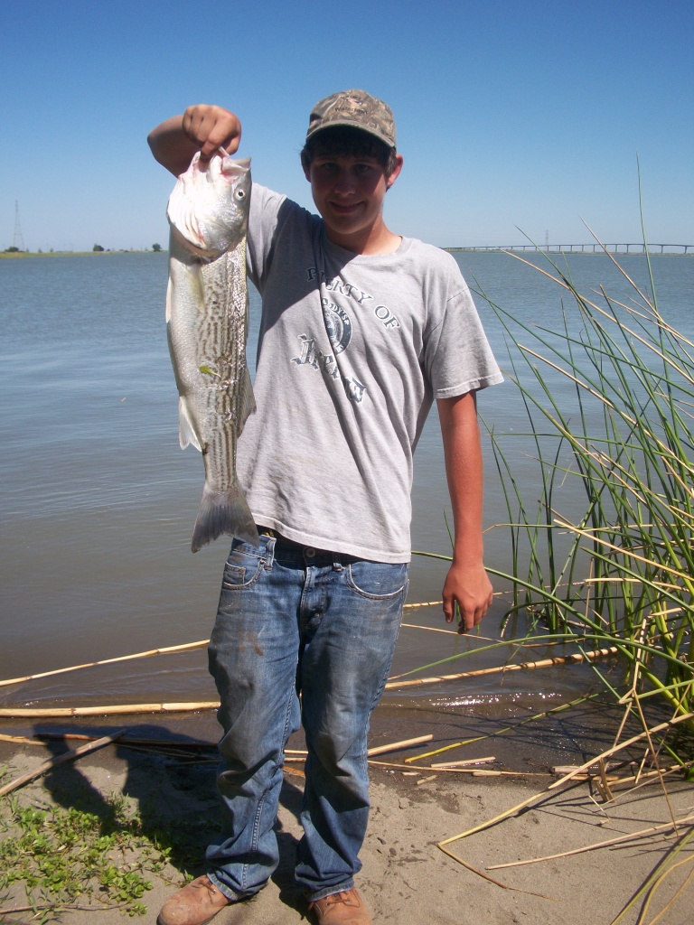 striper