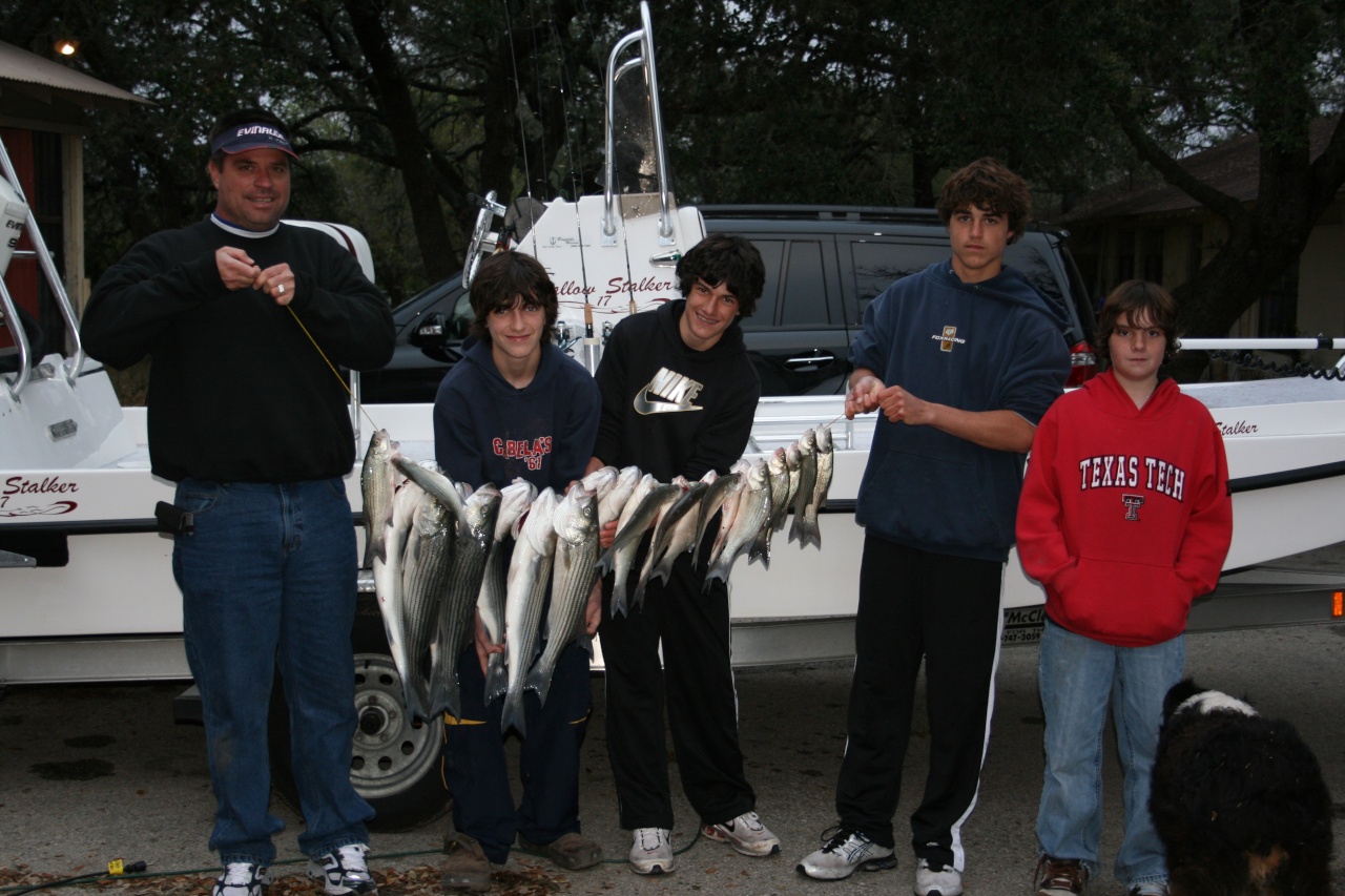 white bass and stripers