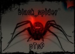 black_spider