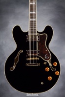 Semi-Hollow_Body