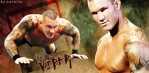 Viper Randy Orton