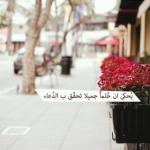 كيـآن لؤلـؤه ♬