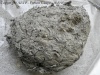 Excavation d'un petit nid souterrain avorté (20cm de diamètre, octobre 2012 - photo Antoine)