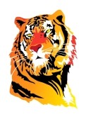 tigerone54