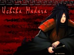 Madara