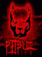 [HoS]PitBull[Hk]