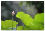 雨落昆仑