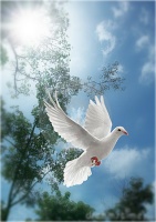 HolySpirit