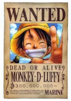 Monkey D Luffy