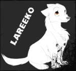 Lareeko