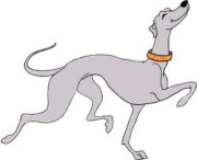 Whippet Lof quelle tristesse - Page 3 1381644684