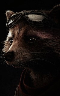 Rocket Raccoon