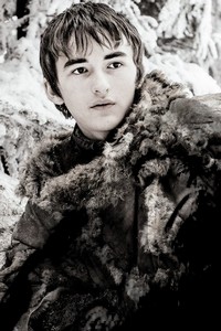 Brandon Stark