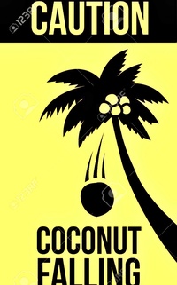 Coconut.47