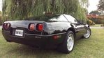 vette31600