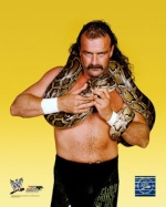 Jake Roberts