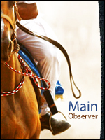 Main Observer