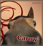 Carowdu83