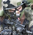 Cobra2