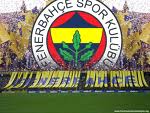 kral19077