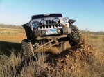 lonestar rubi