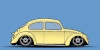 mtownbeetle70