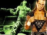 HBK Shawn MichaeLs