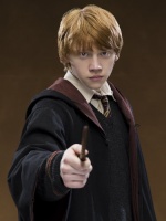 Professor Ronald Weasley