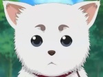 Sadaharu