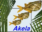 Akela