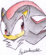 Shadow the hedgehog