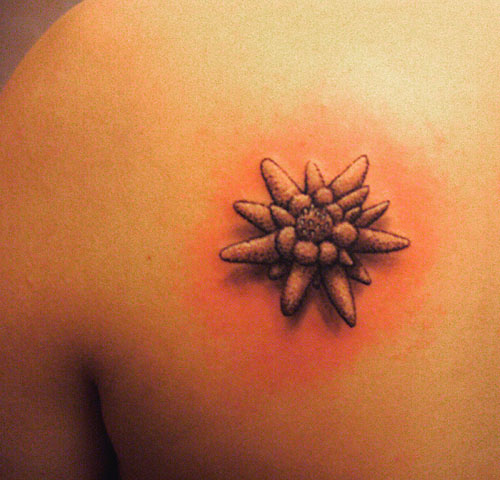 Tatouage Edelweis