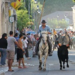 CAMARGUAIS-DU30