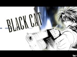 Blackcat51