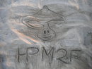loule HPM2f
