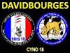 DAVIDBOURGES