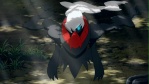 darkrai2012