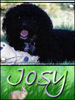 Josy