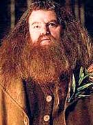 Rubeus Hagrid