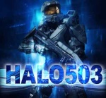 halo503